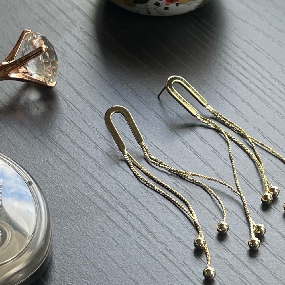 Stainless Steel Drop Earrings with Tassels
